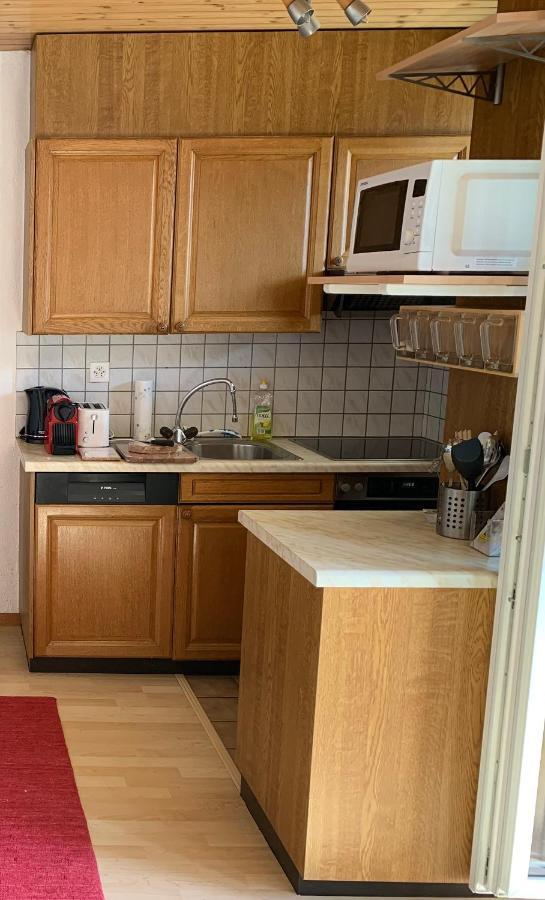 Panorama At Haus Waldheim Nr. 11 Apartment เกรเชิน ภายนอก รูปภาพ